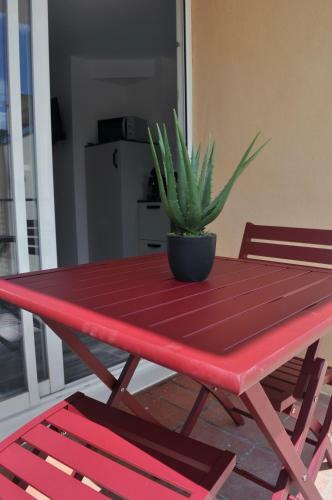 Apartamento Ibanova