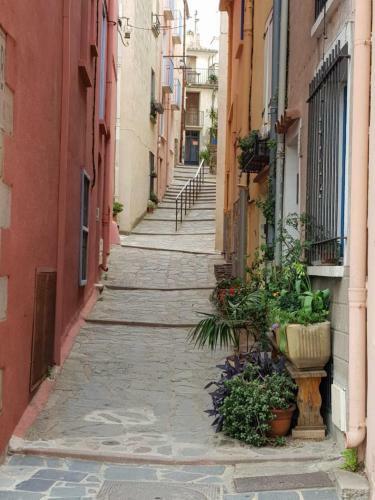 Apartamento Appartement Charmant � Collioure