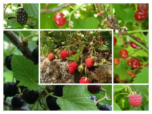 Bed & Breakfast A L'ombre Du Tilleul