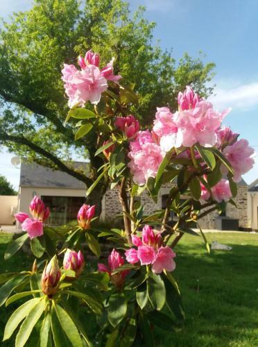 G�te De Rosvern