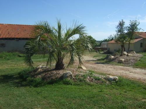 Hostal Belge'attitude Maison D'h�tes