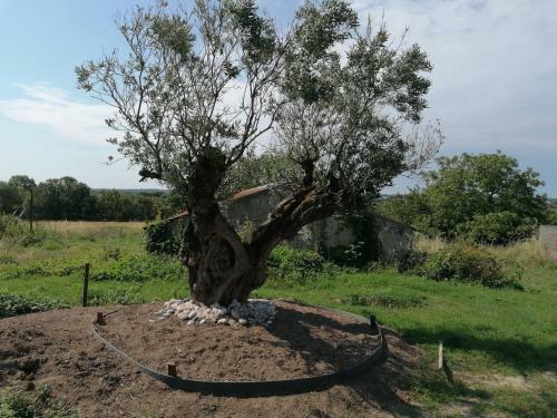 Hostal Belge'attitude Maison D'h�tes