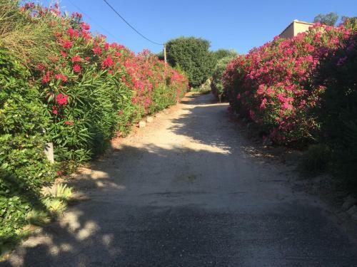 Bed & Breakfast Chambre D'hotes Les Cigales