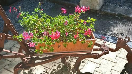 G�te " La Petite Compsoise "