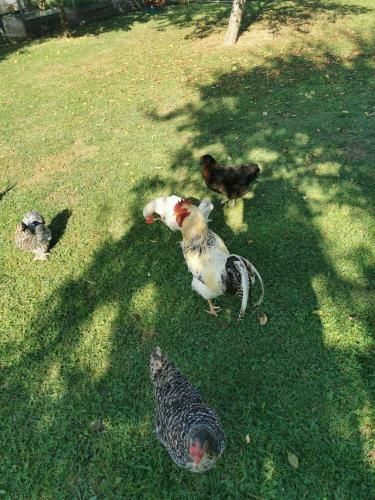 Bed & Breakfast Bienvenue Chez Nous