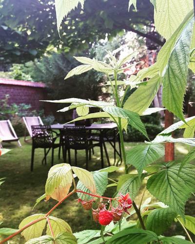 Bed & Breakfast La Maison de Ville
