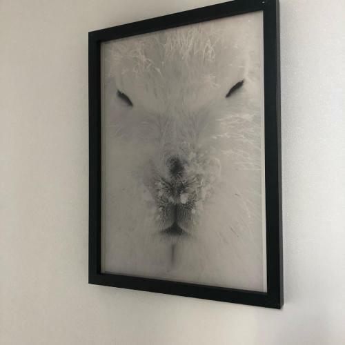 Apartamento Cosy Appart