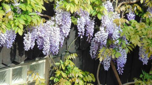Apartamentos Le G�te Du Moulin