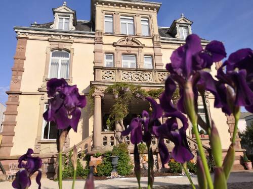 Hostal Castelnau