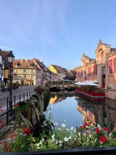 Apartamento G�tes La Petite Venise Colmar