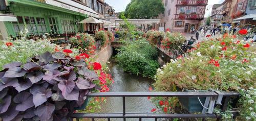 Apartamento La Petite Venise 3pi�ces Lit King Size Free Parking