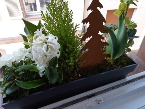 Apartamento Margot - Hyper Centre Colmar