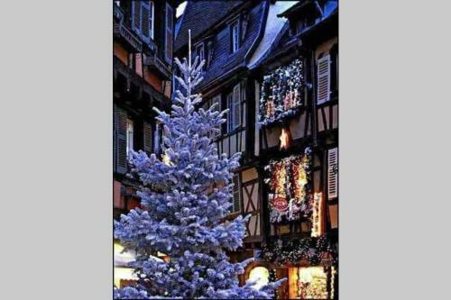 Apartamento Coeur Alsace