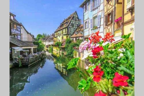 Apartamento Coeur Alsace