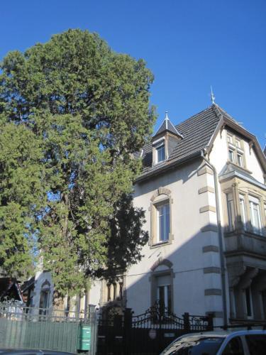 Apartamento Appartement Colmar Centre Le 4