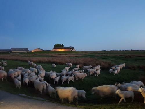 Pattys Farm Barn
