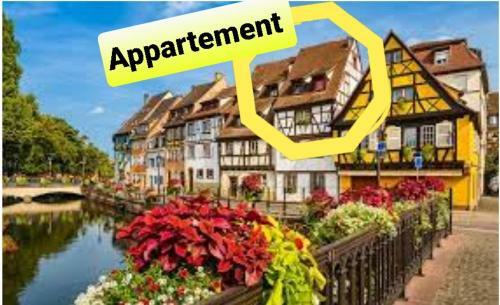 Apartamento New ! La Petite Venise Parking