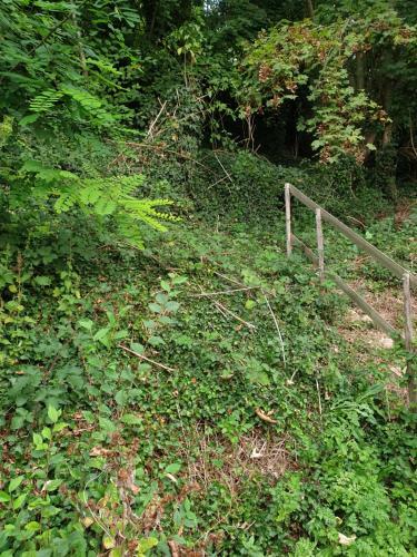 � Flanc De Colline