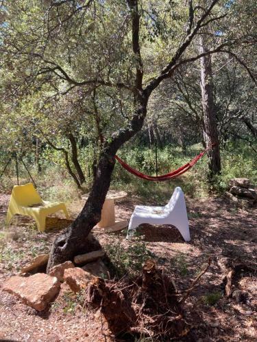 Chalet Dans La Garrigue Proven�ale
