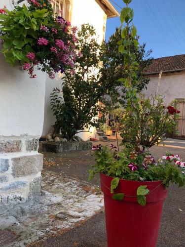 Bed & Breakfast Metris Gaelle