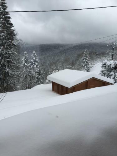 Chalet "le Refuge Du Brabant"