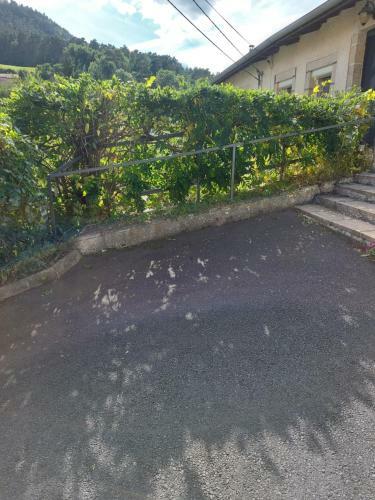 Apartamentos Les Girofl�es