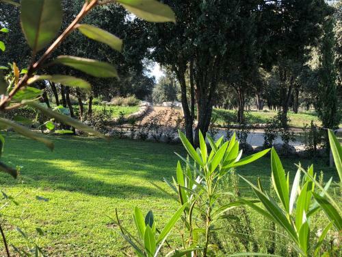 Domaine De Bracciole