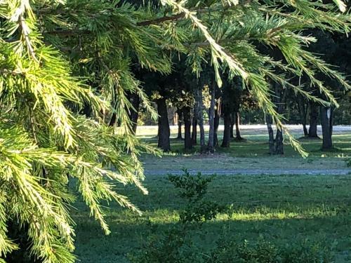Domaine De Bracciole