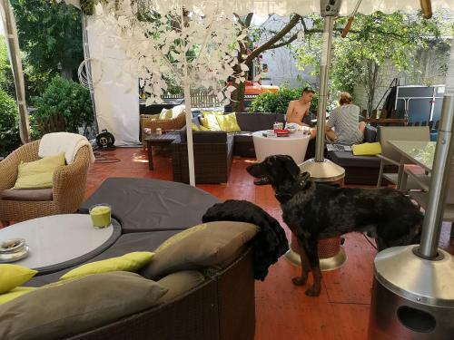 Bed & Breakfast L'�me Des Hospitaliers