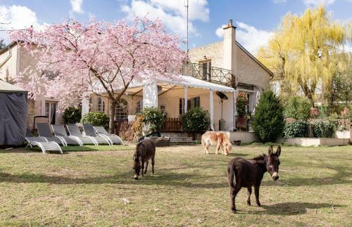 Bed & Breakfast L'�me Des Hospitaliers