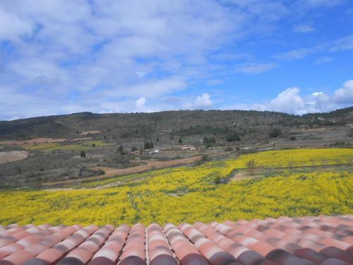 Maison Palmeral