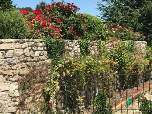 Apartamentos Ermitage Crestet (Ventoux - Provence)
