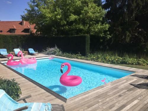 Bed & Breakfast Les Glycines