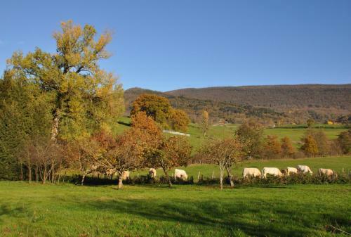 Bed & Breakfast Terres De La Grange