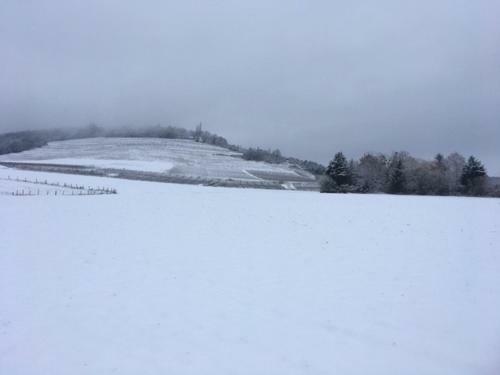 La Bergerie Du Val de Vergy