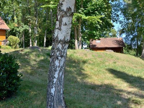 Cozy Holiday Home In Cussac With Private Terrace, Barbecue