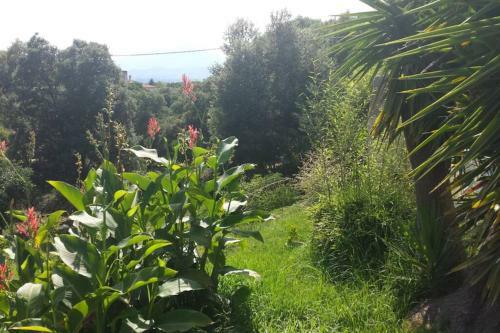 Pavillon T2 Proche Ville Dans Petite R�sidence