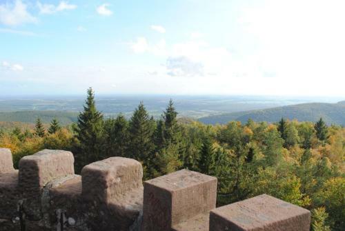 Le Wineck