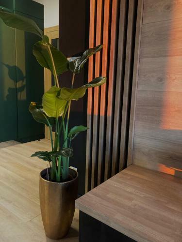 Apartamenty Termalne Green Apartment
