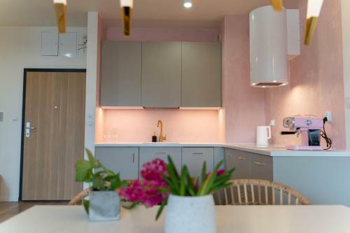 Z?ote Krany Apartament Termalny