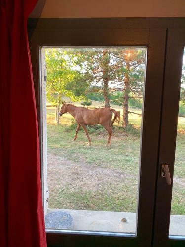 Bed & Breakfast La Meyssonni� 4355 Route de Graulhet 81220 Damiatte
