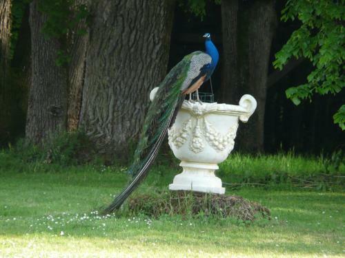 Bed & Breakfast Ch�teau De Piolant