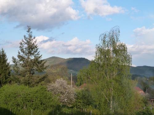 Les Floralies Lilas Alsace