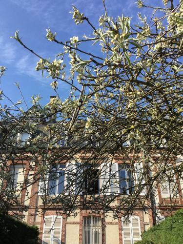Duplex/jardin Deauville Centre
