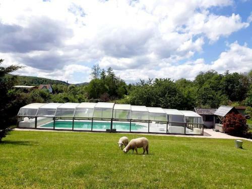 Apartamento Les Papillons de La Bruche
