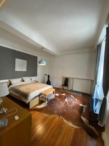 Apartamento Vaste Appartement Centre Historique de Dole