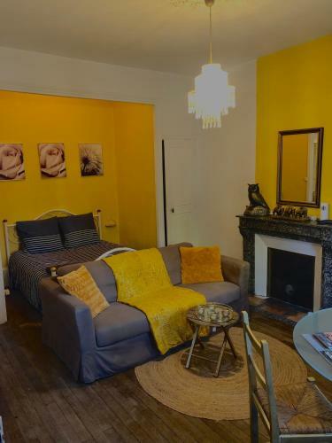 Apartamento Jolie Studio Au C?ur de Dijon