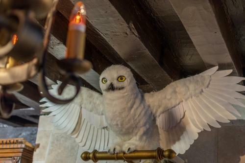 Apartamento Harry Potter-themed Room