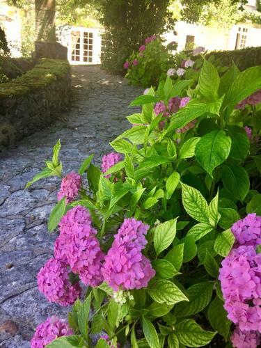 Bed & Breakfast Les Templiers