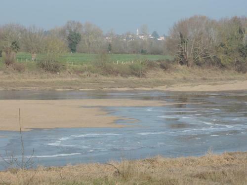 Bedloire